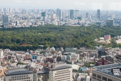 Japan_Tokio_Ausblick_auf_Tokio